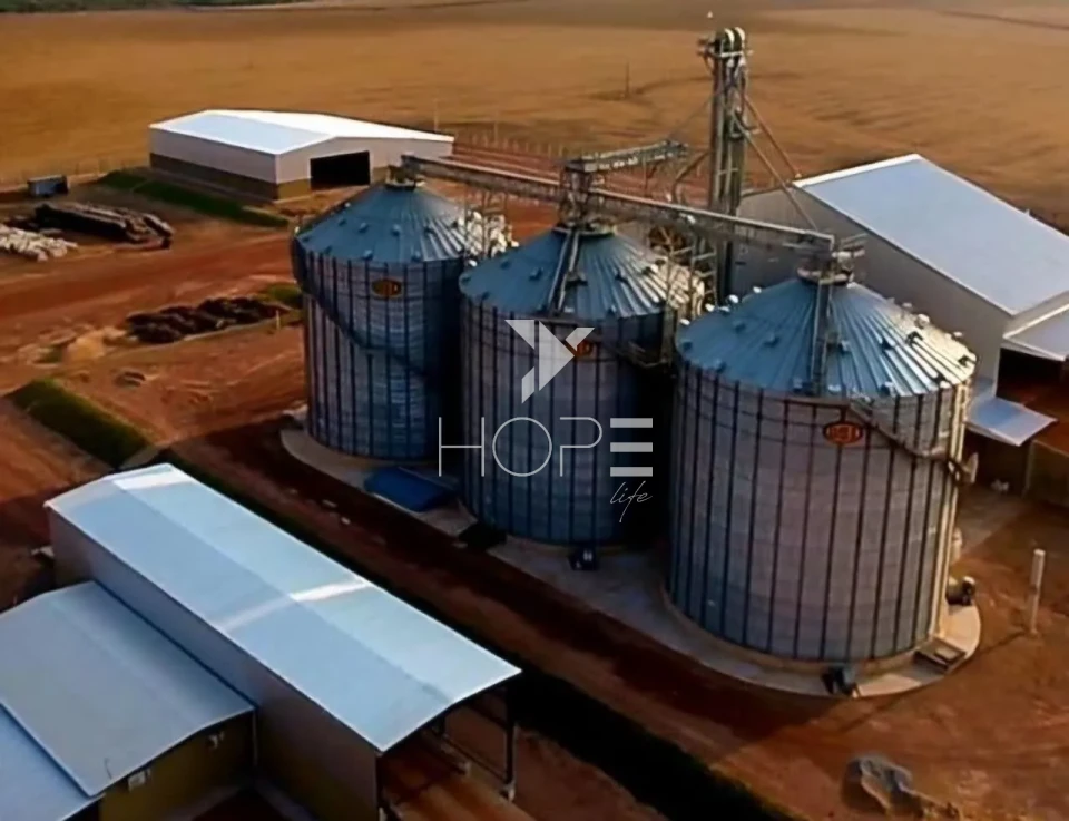 Imagens do imóveis Fazenda com dívida à venda com 6.372 hectares - alto padrão agrícola - confinamento e silos - Miranorte TO