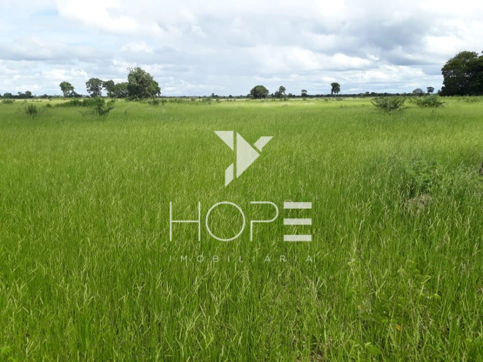 Fazenda à Venda no Mato Grosso – 793 Alqueires | Pecuária Estruturada | Porteira Fechada