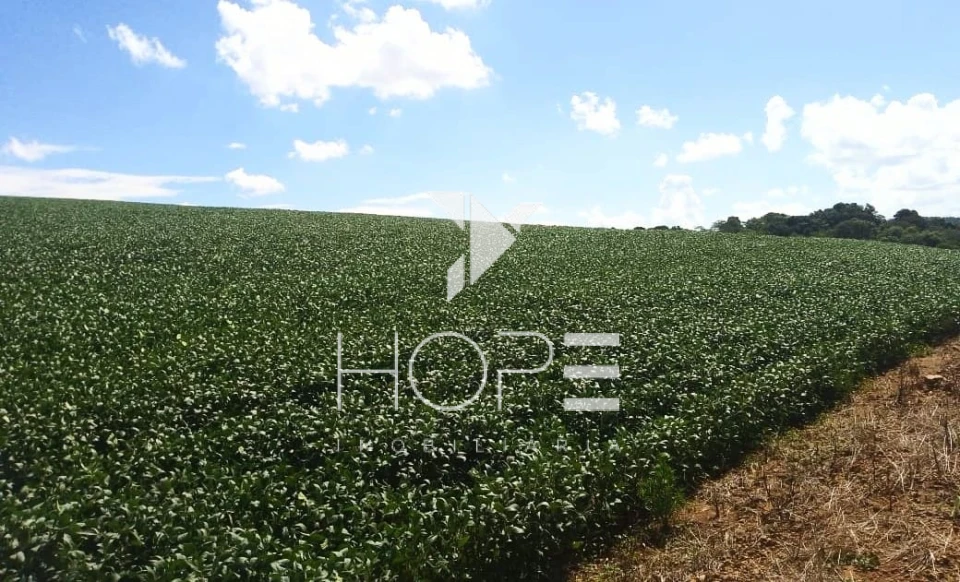 Imagens do imóveis Fazenda à Venda – 213 Alqueires – Jauru – Tomazina PR