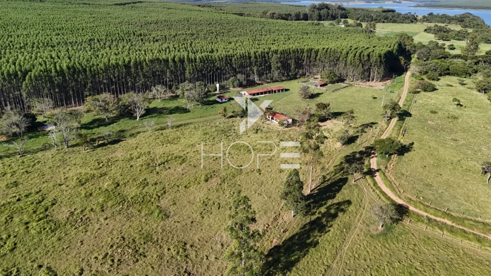 Imagens do imóveis Fazenda à venda com 148 alqueires - eucalipto e pastagem - margem para represa - Paranapanema SP