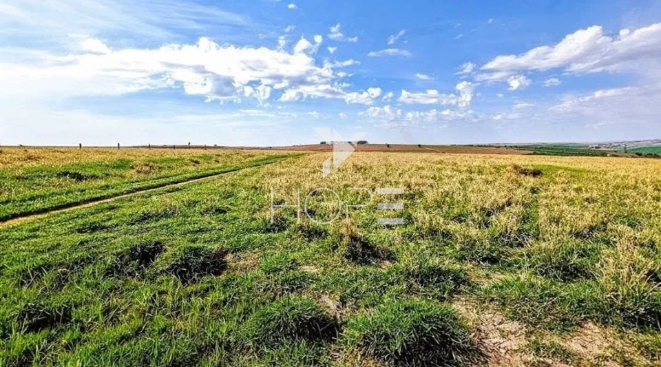 Imagens do imóveis Fazenda à venda com 155 alqueires - dupla aptidão - beira de rodovia - Nossa Senhora das Graças PR