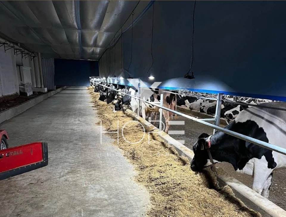 Imagens do imóveis Fazenda à venda 244.5 alqueires leiteria industrial e laticínio estruturado frente rodovia – região de Itapetininga – São Paulo