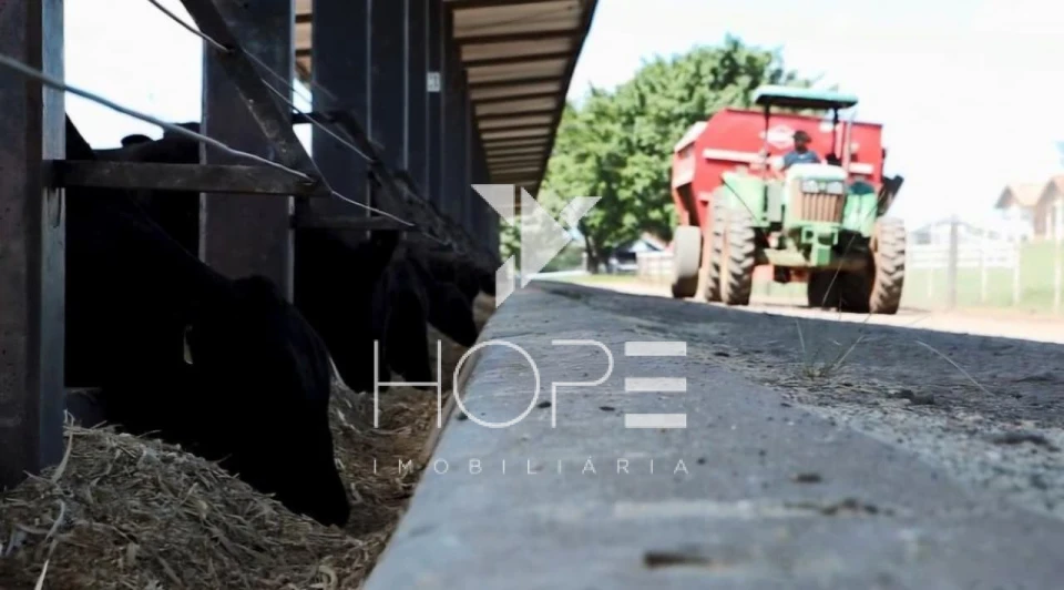 Fazenda à Venda – Região de Londrina/PR – 1.390 Alqueires – Ativo Agropecuário Multifuncional