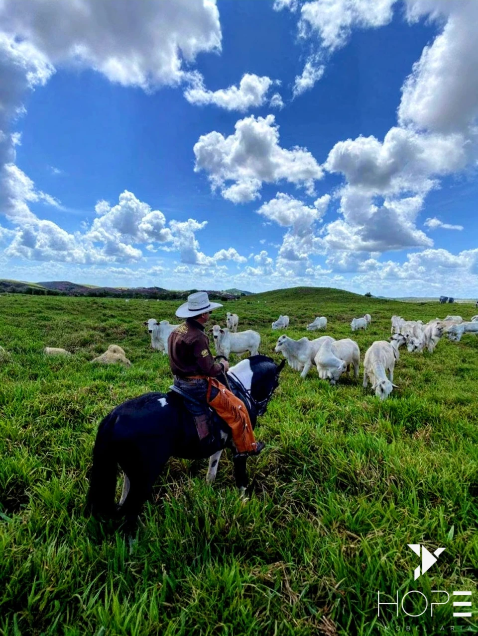 Fazenda à venda – 6.000 hectares – DIVINÓPOLIS/MA – Estrutura completa para pecuária e lavoura