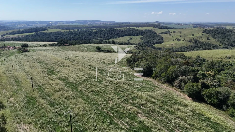 Imagens do imóveis Fazenda à venda com 48.25 alqueires - agricultura e pastagem - frente para o asfalto - São Miguel Arcanjo SP