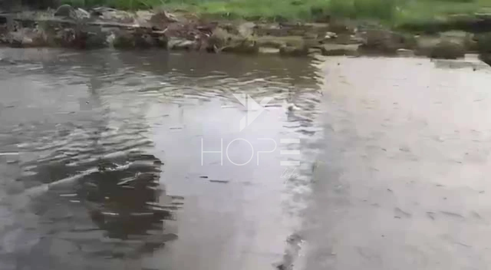 Imagens do imóveis Fazenda à venda 2.725 hectares pecuária porteira fechada – região de Monte Alegre de Goiás – Goiás