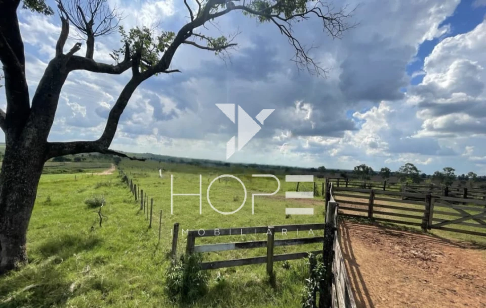 Imagens do imóveis Fazenda à Venda Proximo a Marília/SP – 146 Alqueires – 90% Aproveitamento – Rica em Água