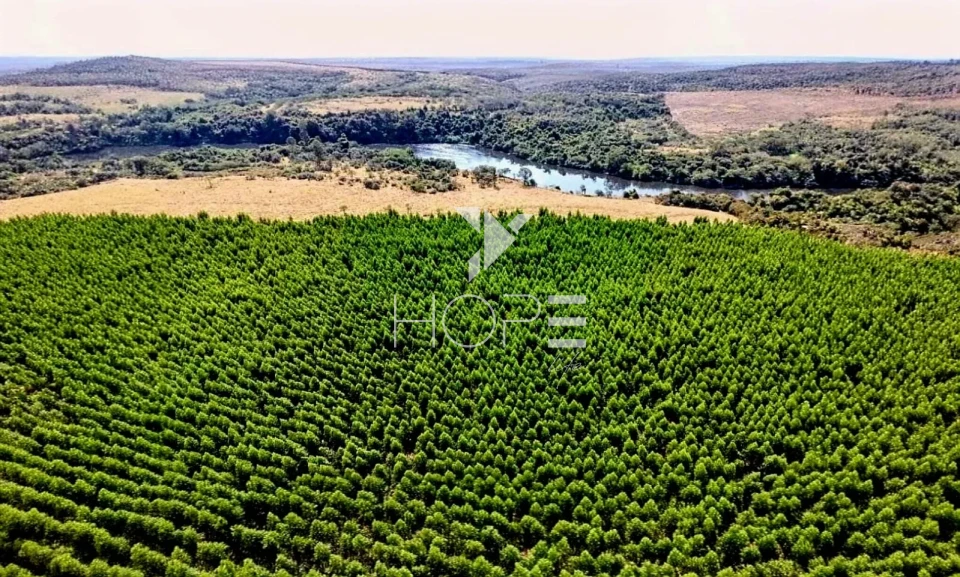 Imagens do imóveis Fazenda à venda com Eucalipto 321 alqueires - 777 hectares - arrendada Para Suzano - beira Rio Tietê - Itu SP