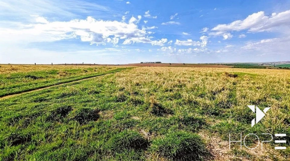 Fazenda à Venda – 155 Alqueires – Nossa Senhora das Graças/PR