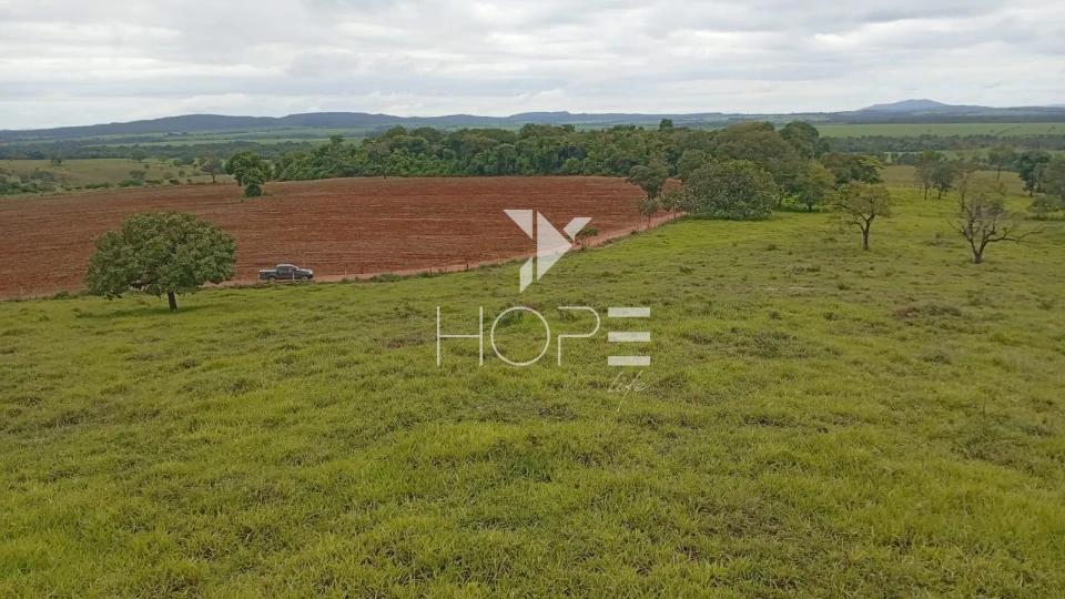 Imagens do imóveis Fazenda à venda com 260 alqueires - 201 formados - confinamento - apta para pivô - Mozarlândia GO