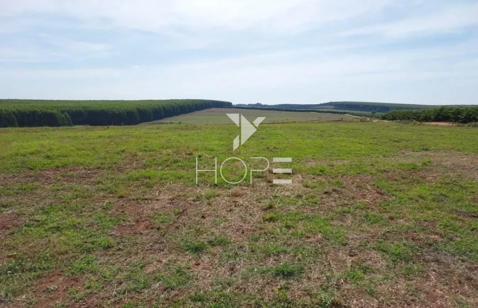 Imagens do imóveis Fazenda à Venda - Solo Misto – 174,24 Hectares – Bauru/SP