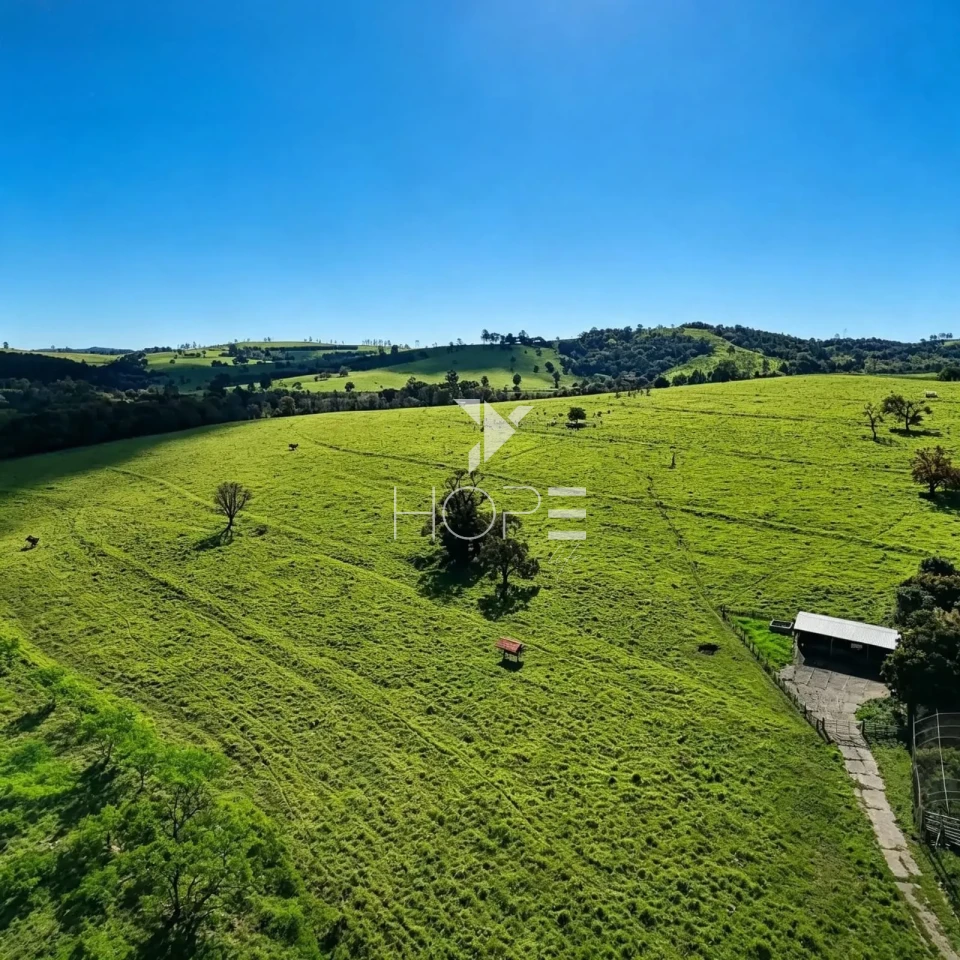 Imagens do imóveis Fazenda à Venda - Porteira Fechada – 50,8 Alqueires – Região de Itapetininga/SP