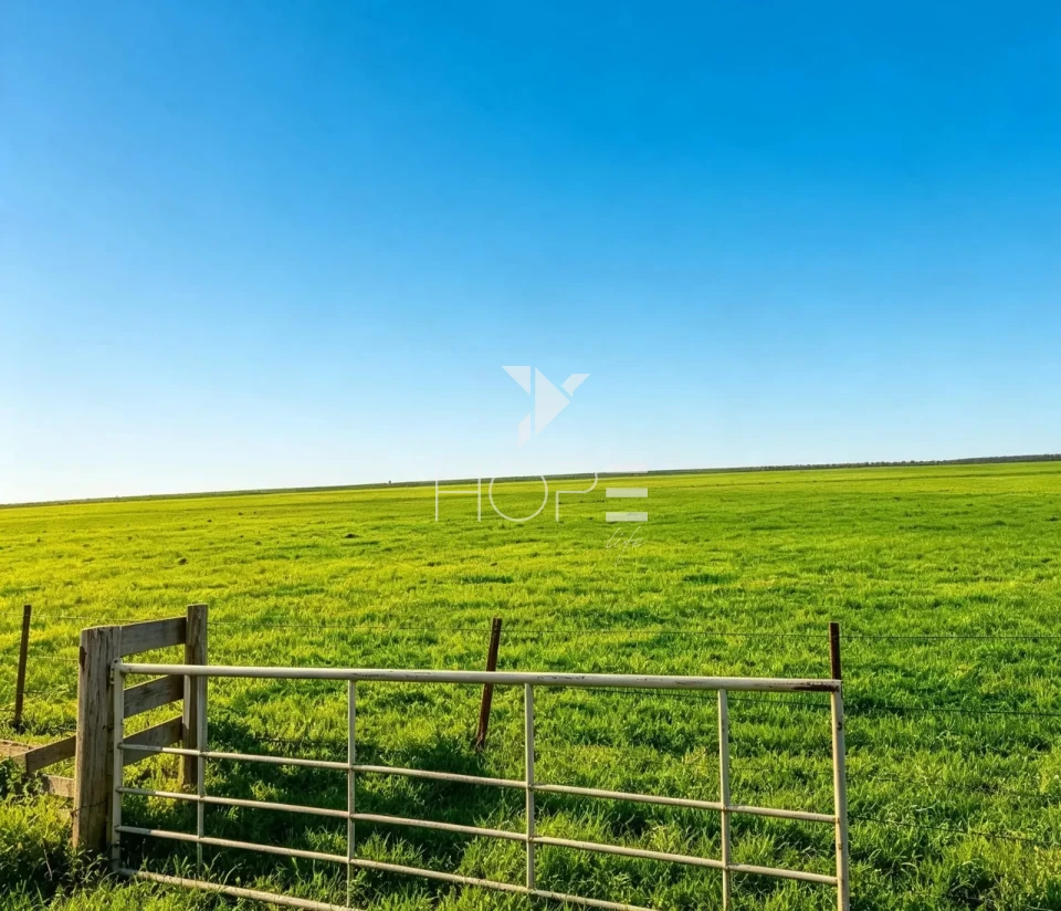Imagens do imóveis Fazenda à Venda com 90% de aproveitamento – 165 Alqueires – Bentópolis