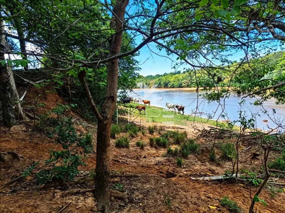 Fazenda à Venda com Aptidão Pecuária – 364 Hectáres – Três Marias/MG
