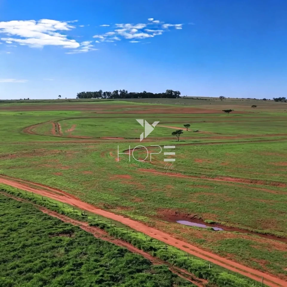 Imagens do imóveis Fazenda à Venda com Aptidão Pecuária - Topografia Plana – 560 Alqueires – Rosana/SP - Fronteira SP - PR - MS