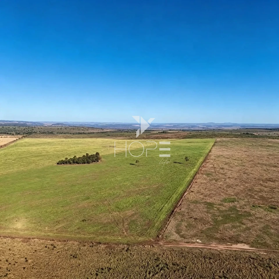 Imagens do imóveis Fazenda à Venda - Agricultura e Pecuária - Topografia Plana – 5.359 Hectares – Sonora – Sonora/MS