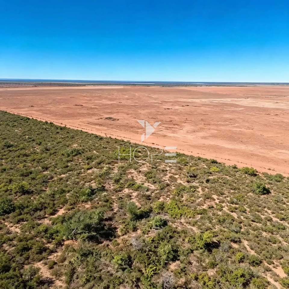 Mega Fazenda à Venda - Aptidão Agropecuária – 13.000 Hectares – Tocantins 