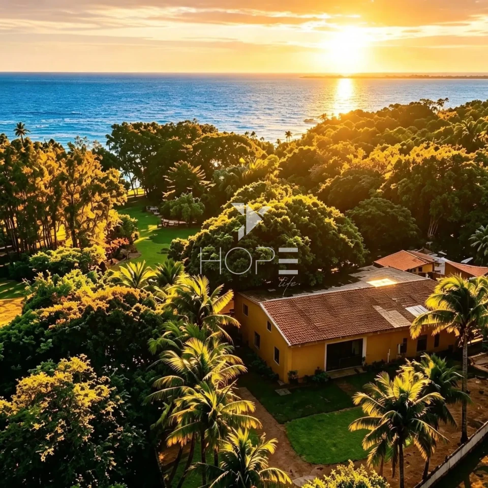 Imagens do imóveis Chácara à Venda Molhada – 4.500m² – Alvorada do Sul/PR