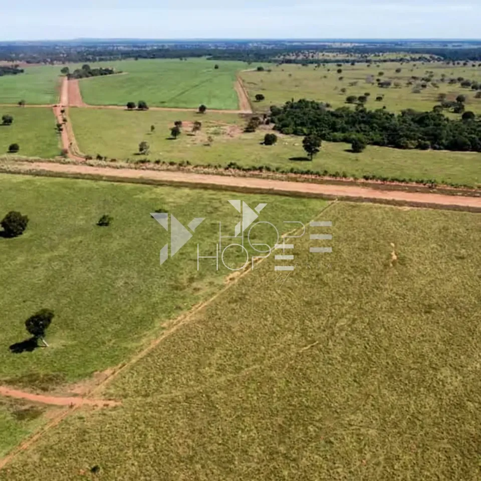 Imagens do imóveis Fazenda à Venda – Mundo Novo/GO