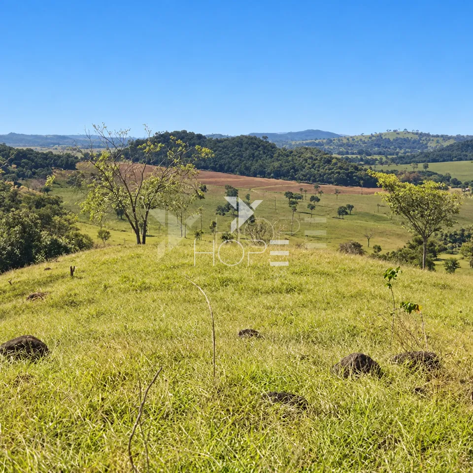 Imagens do imóveis Fazenda à Venda – Zona Rural – Rubiataba/GO