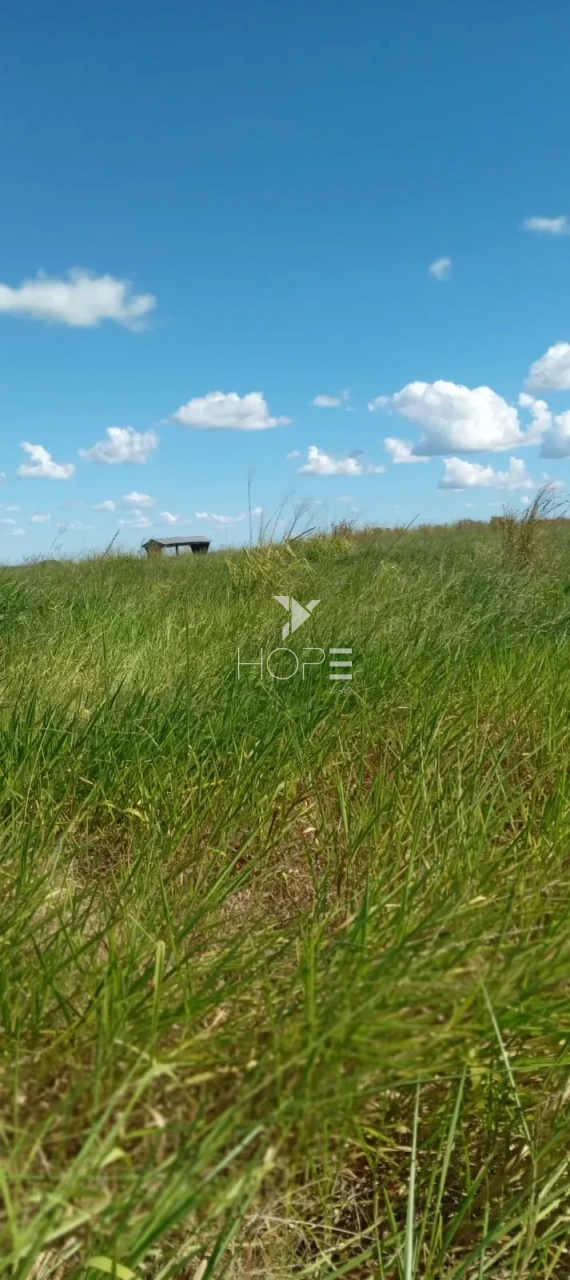 Imagens do imóveis Fazenda à venda com dupla aptidão - 553 hectares - estruturada para pecuária e agricultura - Bom Jesus TO