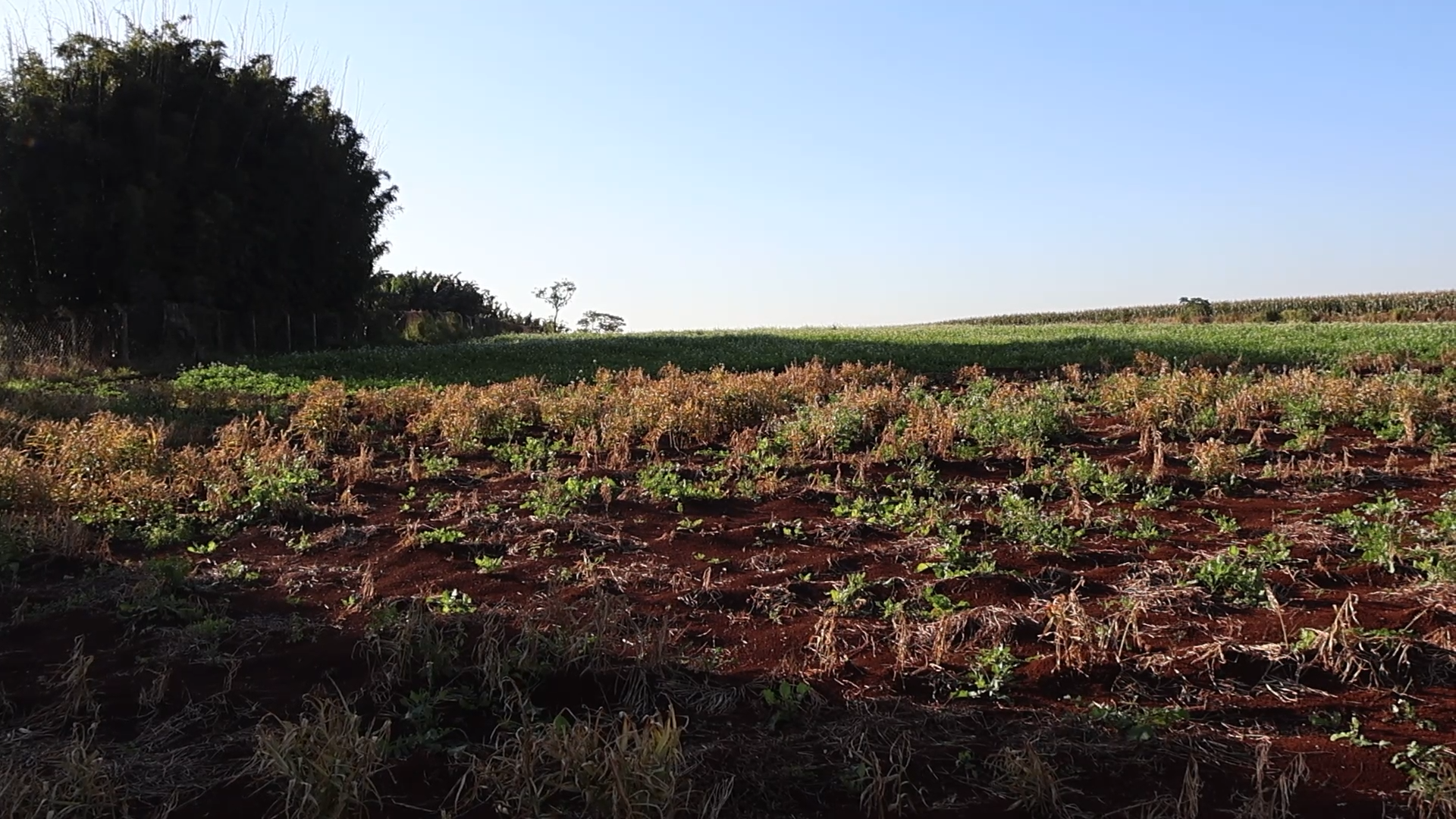 Imagens do imóveis TERRENO INDUSTRIAL DE 42.000 m² EM TAMARANA