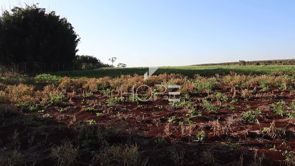 Imagens do imóveis Terreno industrial à venda com 42.000m² - frente para rodovia - Lotes fracionável - Tamarana PR