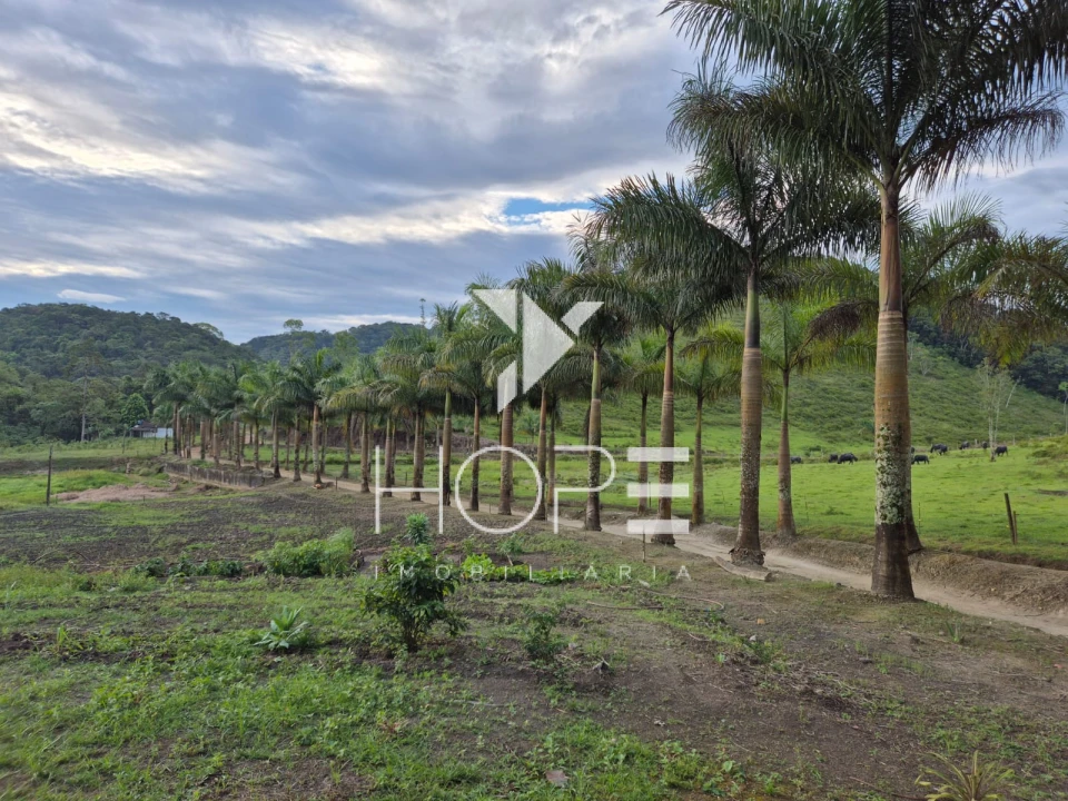 Imagens do imóveis Fazenda Produtiva à Venda na Região de Registro/SP – 174 Alqueires – Estrutura para Pecuária Leiteira – Abundância de Água