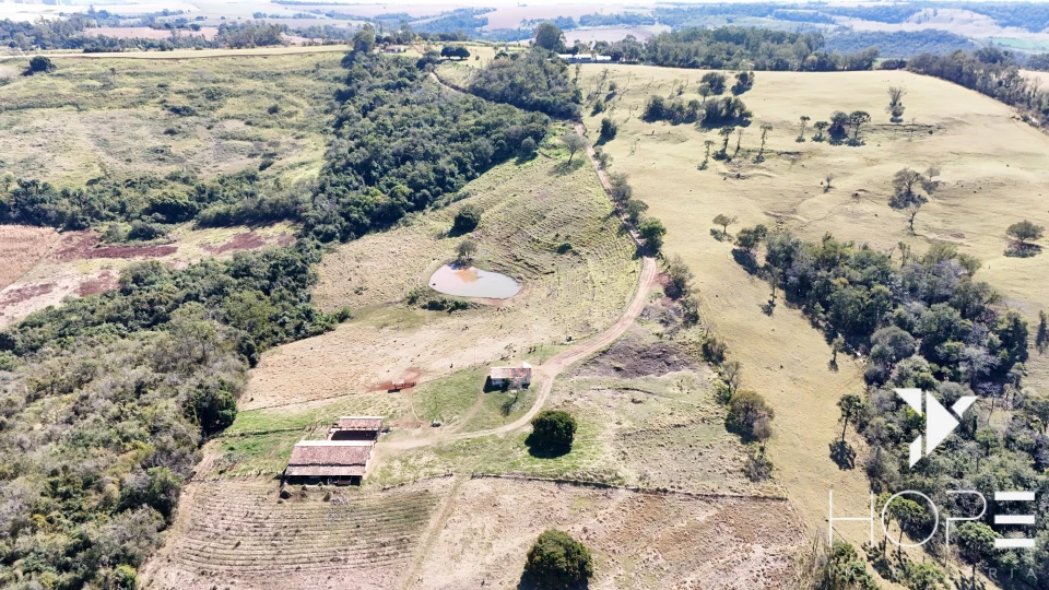 Imagens do imóveis Sítio à Venda – 9.5 Alqueires (229.900 m²) – Estrada dos Piriquitos – Londrina/PR