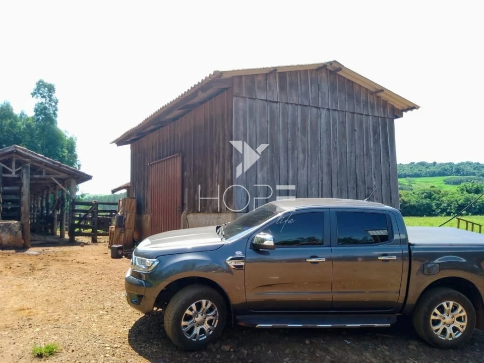 Fazenda à venda com 76 alqueires - pecuária com potencial agrícola - Guaravera - Londrina PR