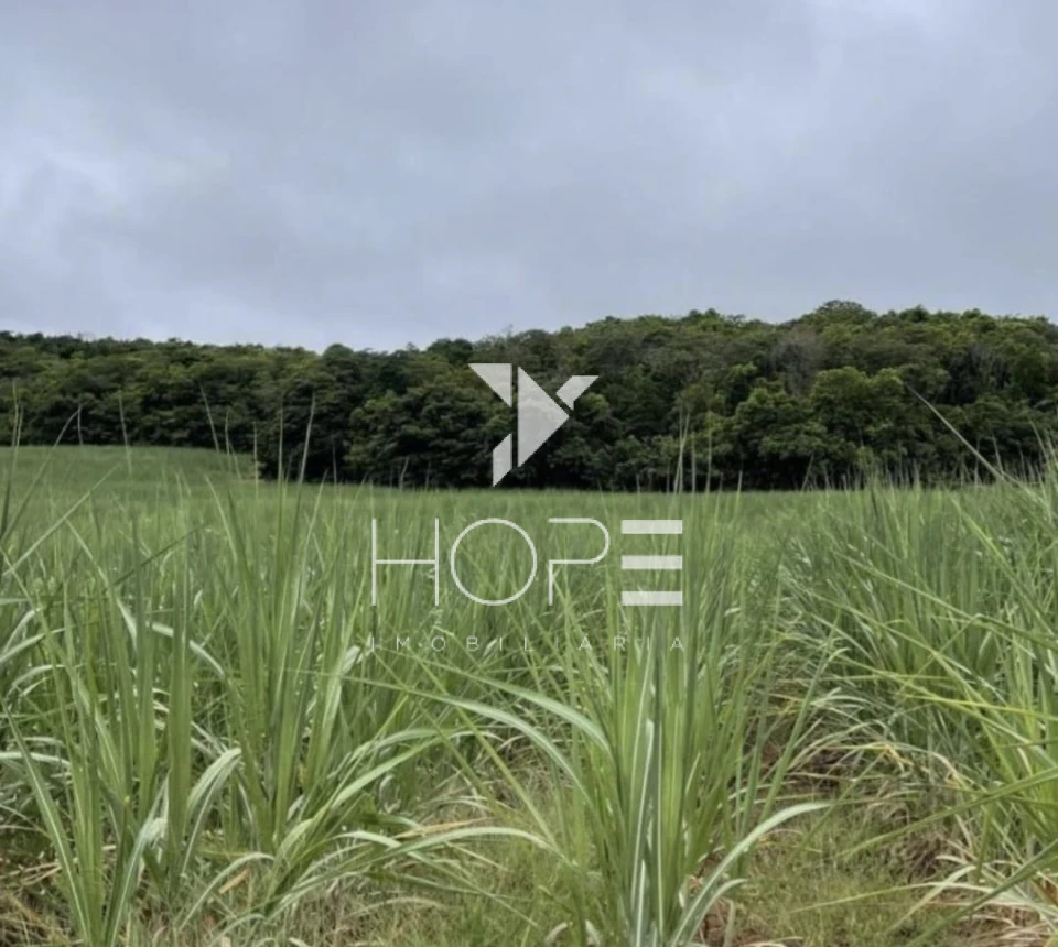 Imagens do imóveis Fazenda 207 Alqueires - Dupla Aptidão - Cana Arrendada - Mineiros GO - 7 km do Asfalto