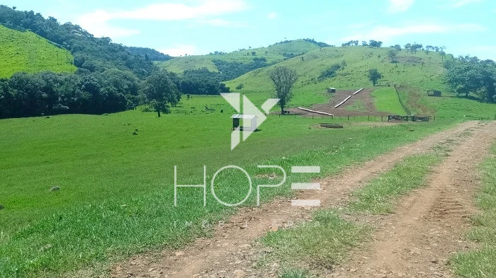 Imagens do imóveis Fazenda Porteira Fechada à Venda – 355 Alqueires – Nova Tebas/PR – Pecuária Montada (Nelore) – Estrutura Completa