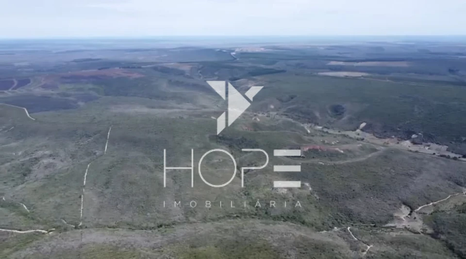 Imagens do imóveis Fazenda à venda 1.700 Hectares agricultura chapadão terra de primeira – Divisa Alegre – divisa BA/MG