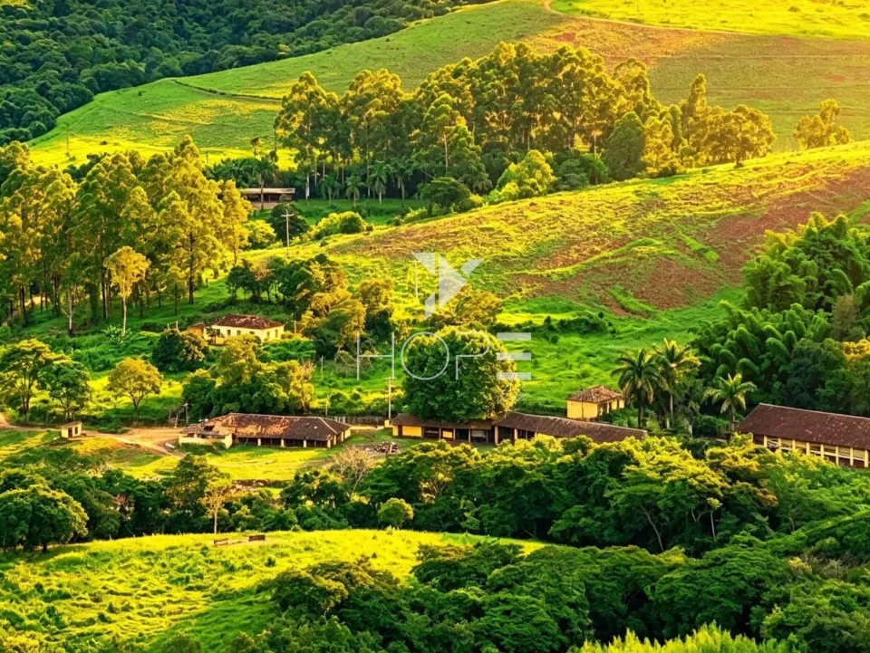 Imagens do imóveis Fazenda de Dupla Aptidão com 781 Hectares em Caxambu-MG – Haras, Pecuária e Agricultura