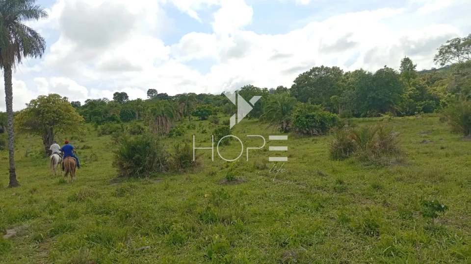 Imagens do imóveis Fazenda à venda com 72 alqueires - 55 em pasto - pronta - curral completo - região de Morro Agudo - Faina GO