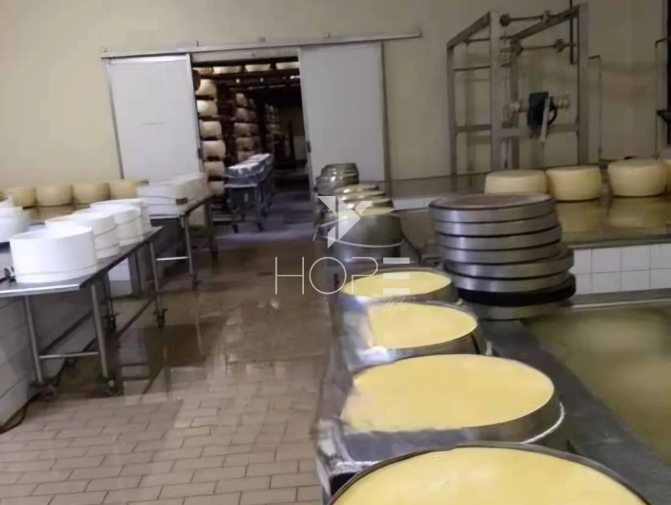 Imagens do imóveis fazenda leiteira à venda com 127 alqueires - laticínio próprio - porteira fechada - Pouso Alegre MG