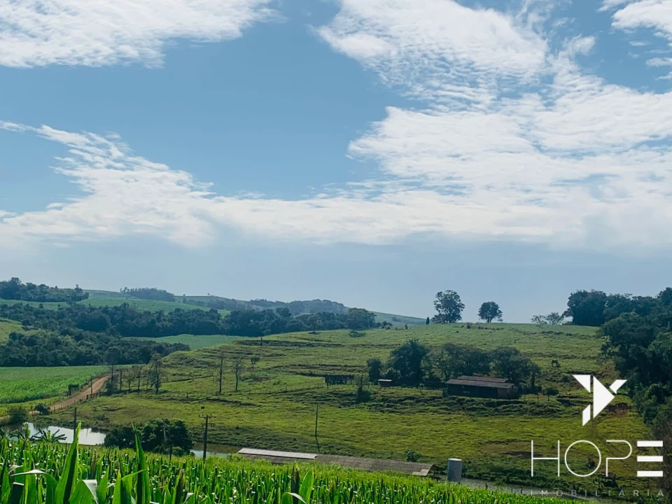 Imagens do imóveis Fazenda agrícola e pecuária à venda – 84 alqueires – Sertanópolis/PR