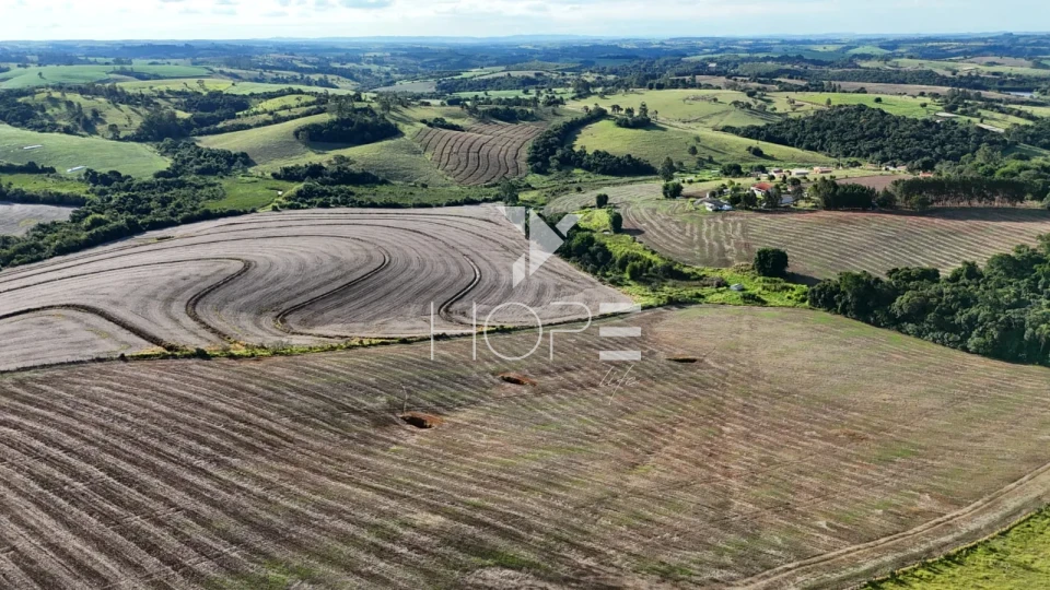 Imagens do imóveis Sítio porteira fechada à venda com 17.66 alqueires - agricultura e pecuária - Itapetininga SP
