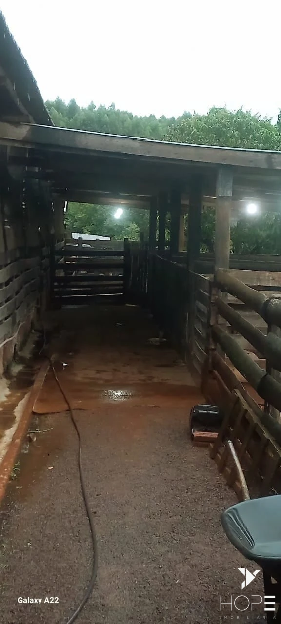 Imagens do imóveis Sítio Escriturado à venda – 6,25 alqueires – Tamarana/PR
