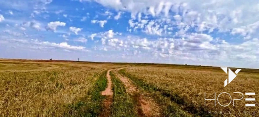 Fazenda à Venda – 155 Alqueires – Nossa Senhora das Graças/PR