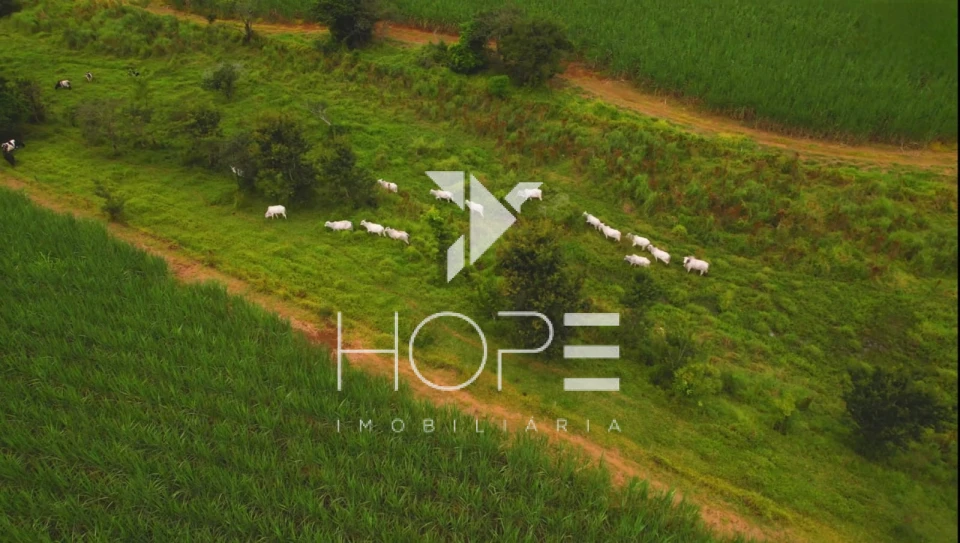 Fazenda à venda – 80 alqueires – Tatuí/SP – Próxima a Sorocaba