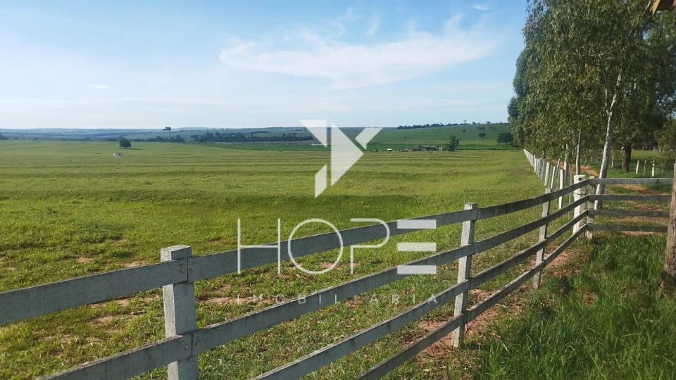 Imagens do imóveis Fazenda à venda 126 alqueires pecuária – região de Loanda – Paraná