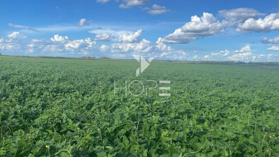 Imagens do imóveis Fazenda à venda com 33.000 hectares - agricultura em larga escala - estrutura completa - pista de pouso - Primavera do Leste MT