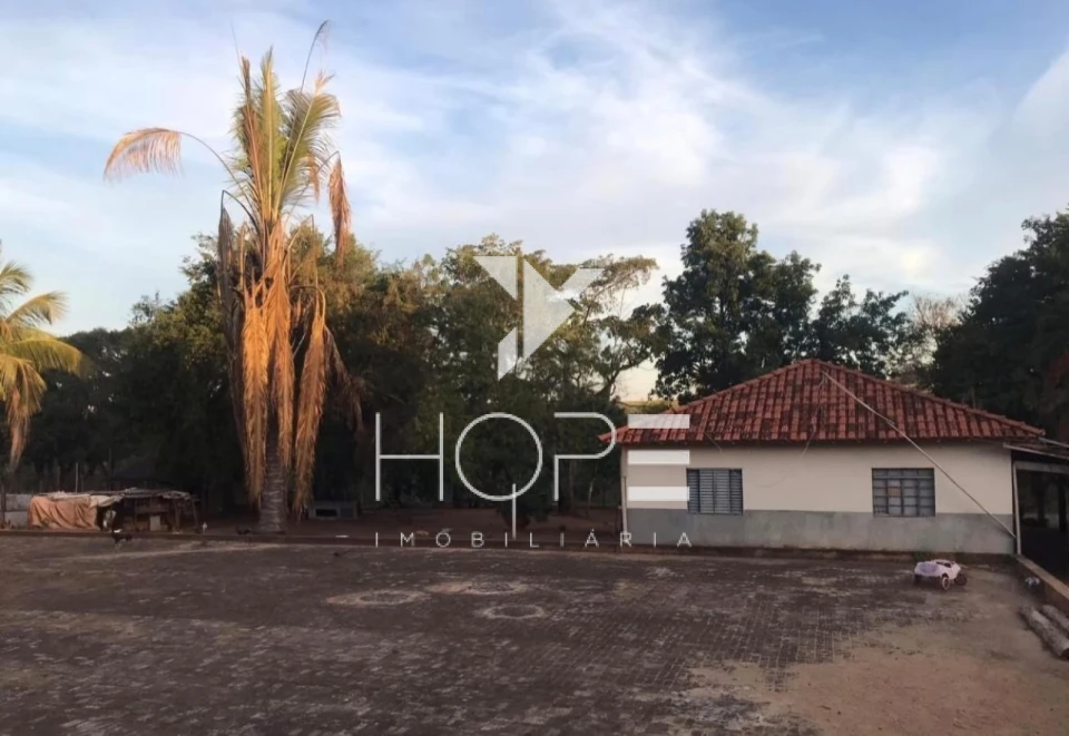 Imagens do imóveis Fazenda à Venda em Mirassolândia/SP – 14 Alqueires Paulista (33,88 ha) – 7.500 Seringueiras em produção  – Rica em Água