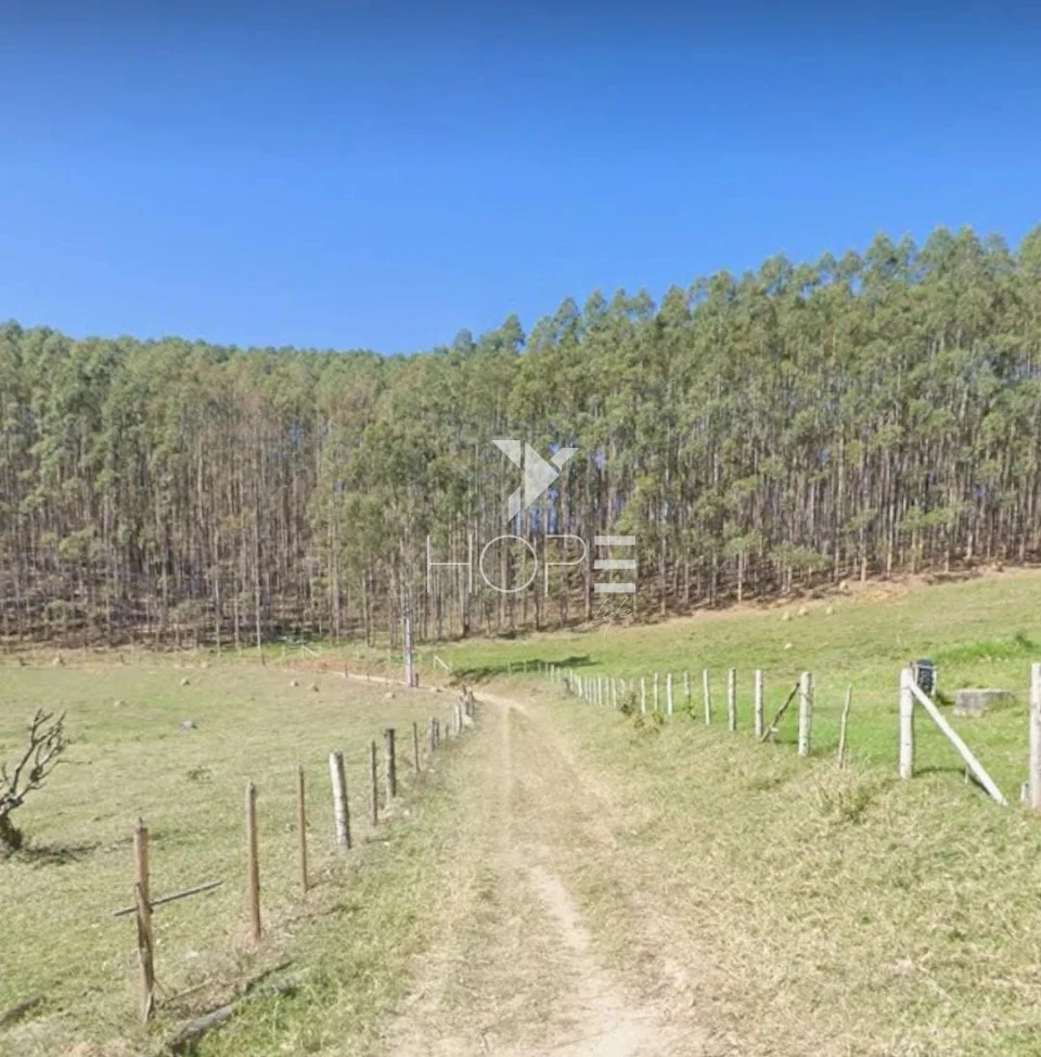 Imagens do imóveis Fazenda de eucalipto à venda com 124 alqueires - alto potencial florestal - Vale do Paraíba - Paraíbuna SP