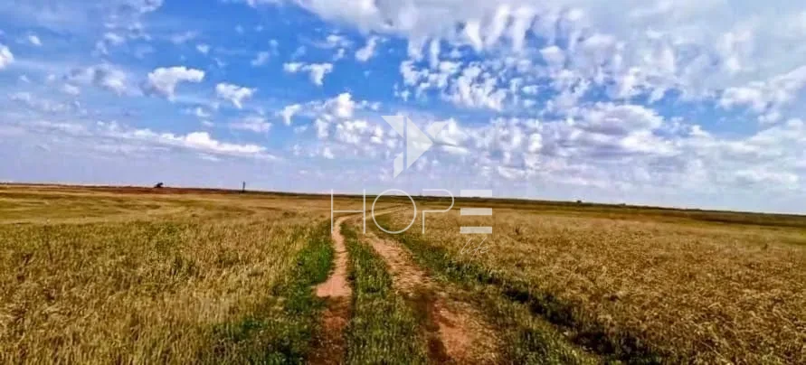 Imagens do imóveis Fazenda à venda com 155 alqueires - dupla aptidão - beira de rodovia - Nossa Senhora das Graças PR