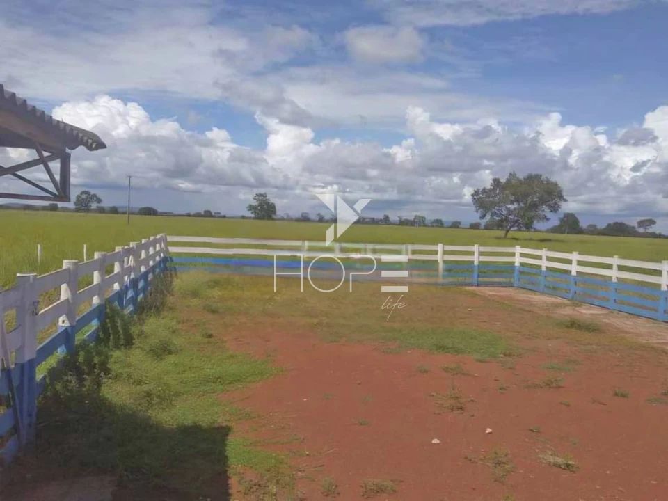 Imagens do imóveis Fazenda à venda 1.000 alqueires pecuária porteira fechada com pista de pouso – Formosa – Goiás