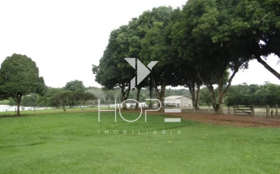 Imagens do imóveis Fazenda de 3.512 Alqueires à Venda – Muricilândia/TO – Estrutura Completa e Alta Capacidade Pecuária