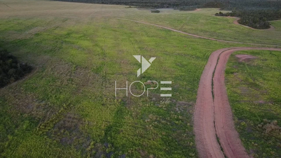 Imagens do imóveis Fazenda à venda 397 alqueires dupla aptidão com lavoura em formação – Tocantins – região de Palmas