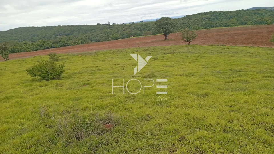 Imagens do imóveis Fazenda à venda com 260 alqueires - 201 formados - confinamento - apta para pivô - Mozarlândia GO